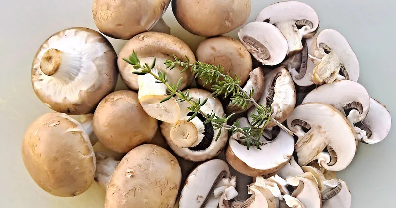 Quels champignons choisir (et lesquels éviter)